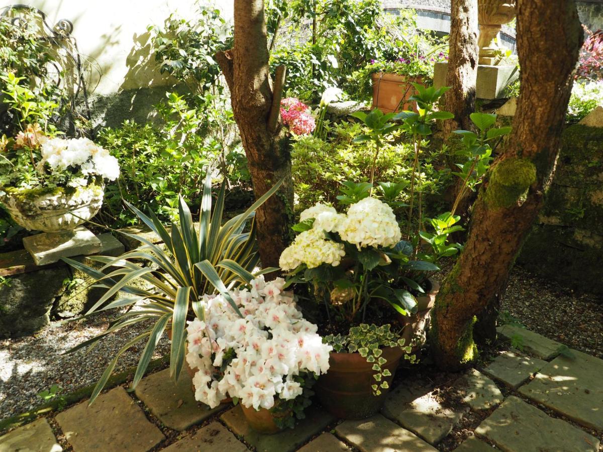 Bed and Breakfast Casa Ella Bagni di Lucca Exterior foto